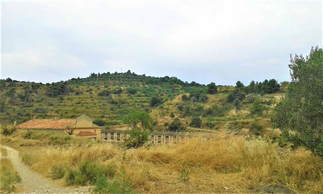 Cal Pablo Daire Rocafort de Vallbona Dış mekan fotoğraf