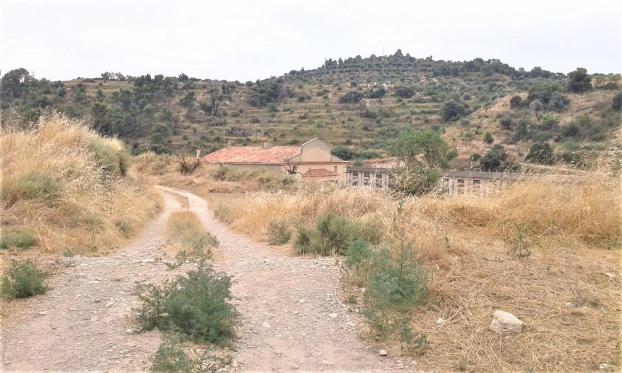 Cal Pablo Daire Rocafort de Vallbona Dış mekan fotoğraf